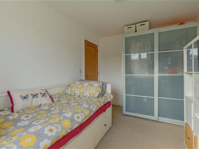 Picture 20